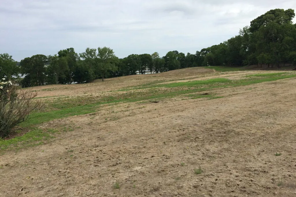 Photo of a large area that has been prepped for seeding. All grass, weeds and other plant material has been removed and only soil remains.