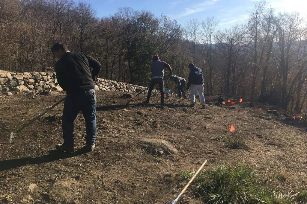 Photo of people using hand rakes to scarify soil prior to seeding.