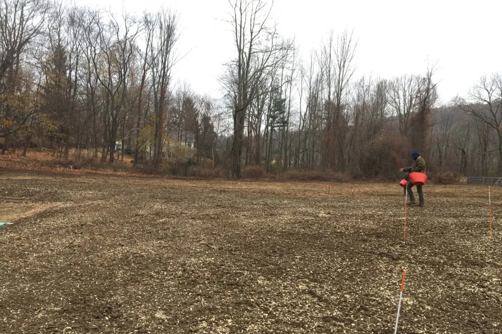 Photo of two people holding buckets. They are seeding a large open field.