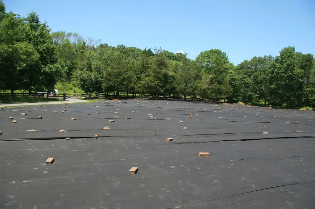 A photo of an area that is covered with black material to prep it for meadow establishment using the smothering technique. There are many bricks across the top to hold the material to the ground. There are large trees in the distance.