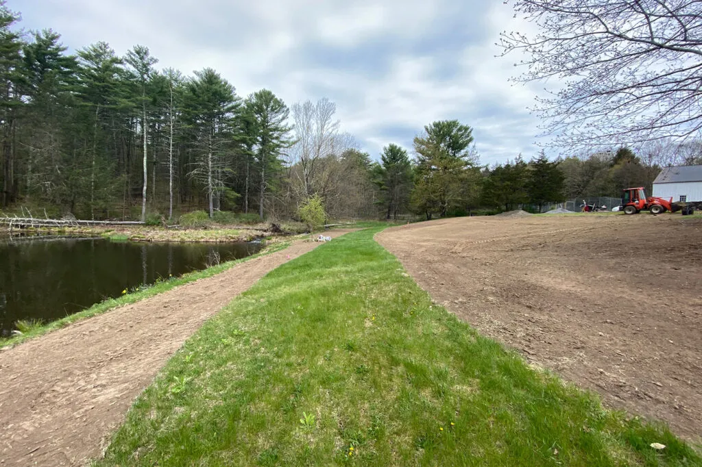A photo of a long green strip of grass that looks like a road. It runs into the distance and is surrounded on both sides by long areas where the grass has been removed and only soil remains. These areas were prepared for meadow establishment using a scraping technique for sod removal. There is water on the left side and large evergreen trees in the distance.