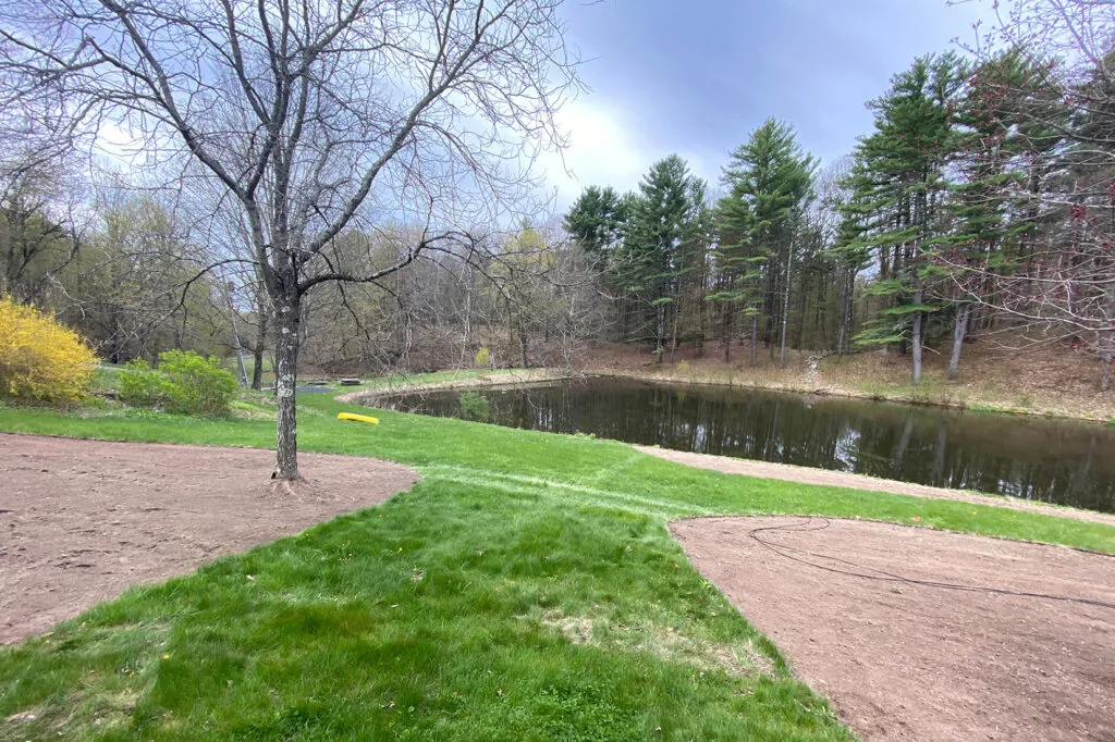 A photo of a long green strip of grass that ends at a small pond. There are round areas on both sides where the grass has been removed and only soil remains. These areas were prepared for meadow establishment using a scraping technique called sod removal.