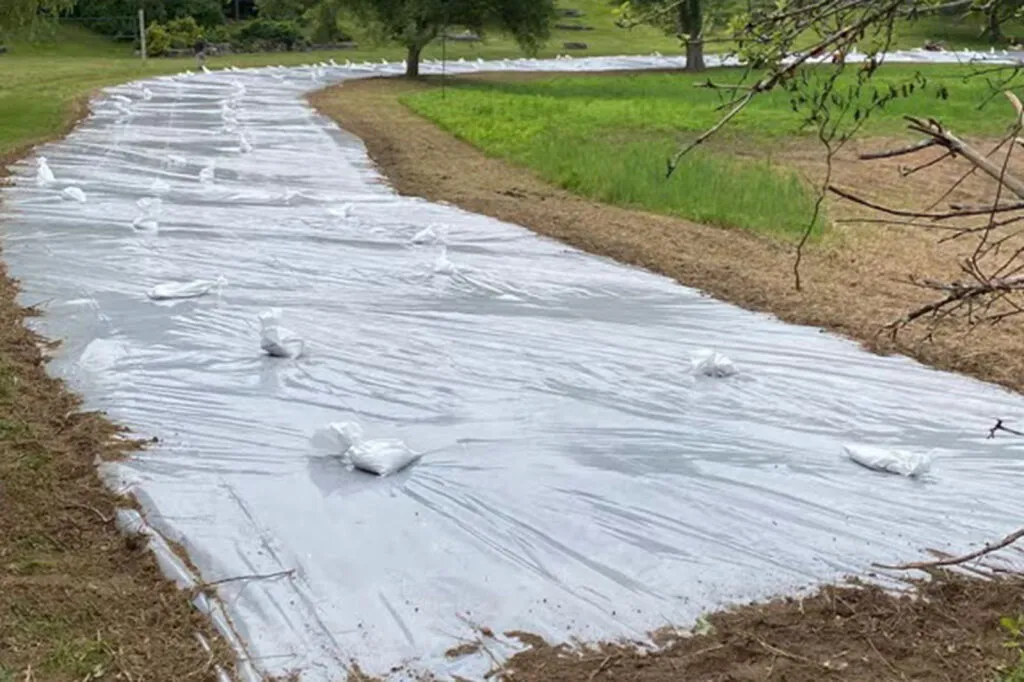 A photo of a long area that is covered with a clear plastic material to prep it for meadow establishment using the solarization technique. The material is held down by many small sandbags and runs into the distance