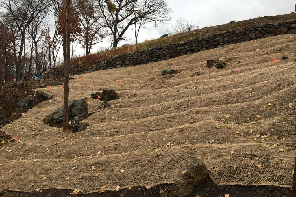 Photo of a hillside covered with biodegradable matting. This protects newly sown seed from washing away while it becomes established.