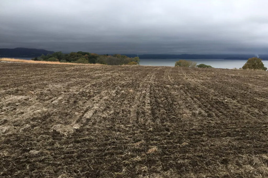 Photo of a field that has been cleared for meadow establishment. There is only soil left.