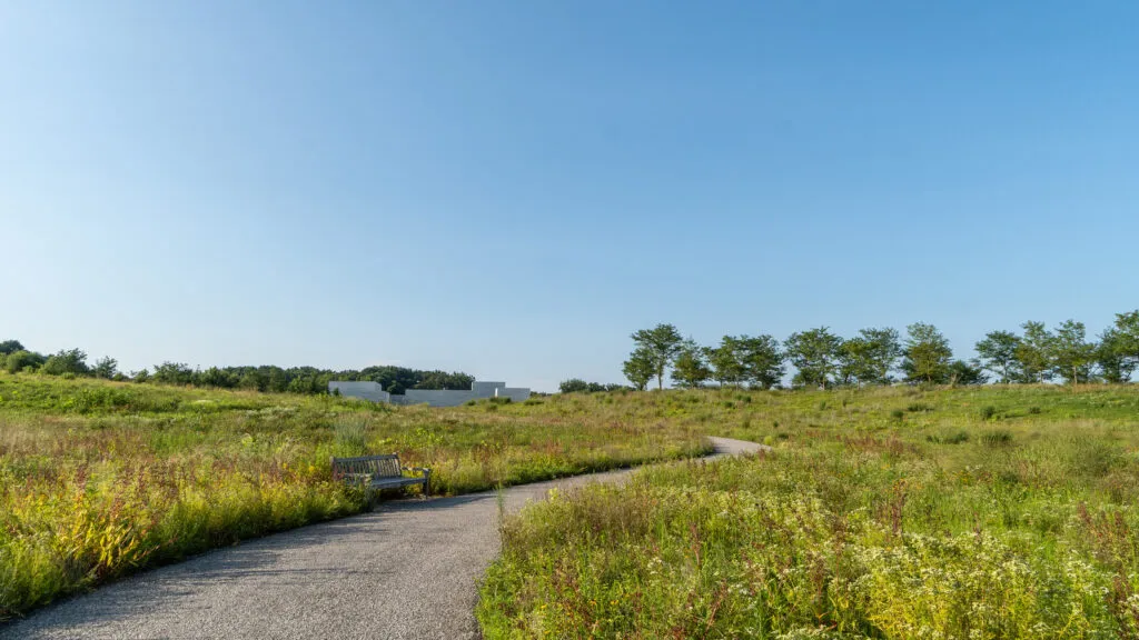 A paved path going toward a building in the distance. There are meadows with a variety of perennials growing on both sides of the path